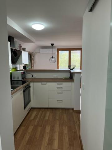 Apartma Ela ゴレンスカ地方 エクステリア 写真